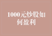 1000元炒股：从零开始的盈利之路