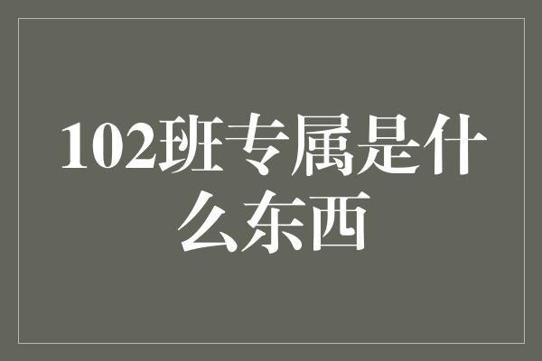 102班专属是什么东西