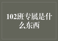 102班专属之谜：探寻班级文化的深层意义