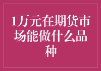 1万元在期货市场能做什么品种：理性投资与风险管理