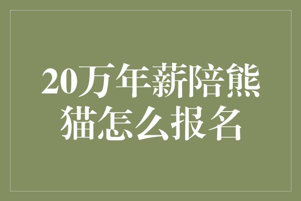 20万年薪陪熊猫怎么报名