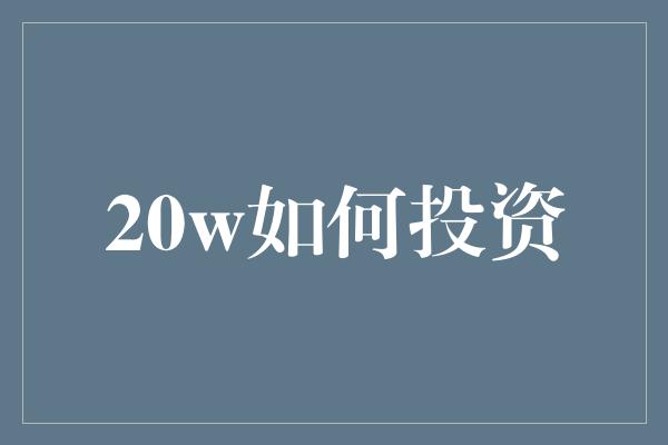 20w如何投资