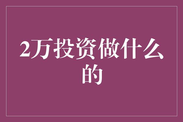 2万投资做什么的