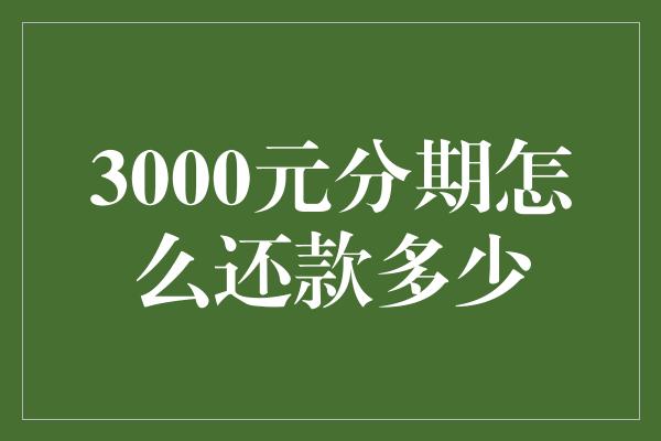 3000元分期怎么还款多少