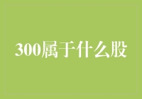 300属于什么股？——揭秘A股市场的神秘数字