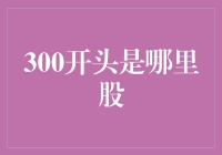 300开头是哪里股？证监会紧急回应：股市新民谣大赏