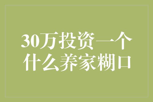 30万投资一个什么养家糊口