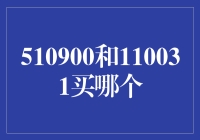 510900与110031：选择优质财务投资的指南