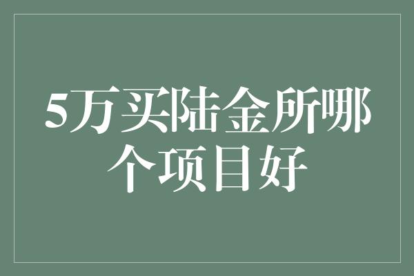 5万买陆金所哪个项目好