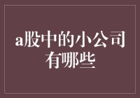 A股市场中那些鲜为人知的小型上市公司