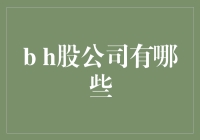 深度解析：B股与H股公司及其市场特性