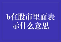 股市中的B：双重市场战略与投资策略探索