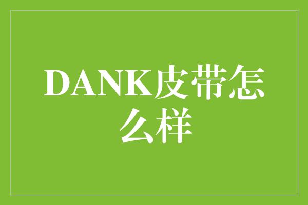 DANK皮带怎么样