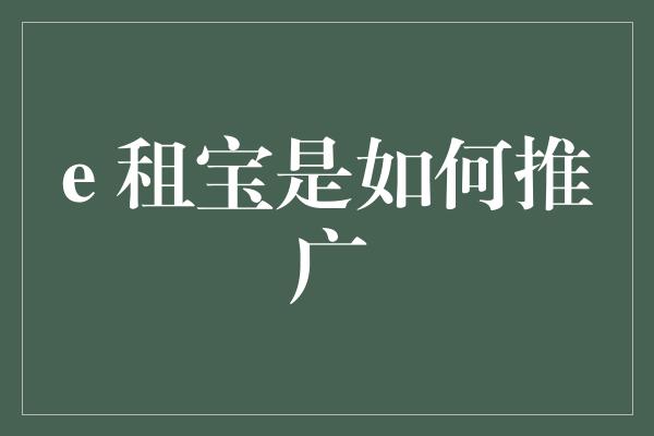 e 租宝是如何推广