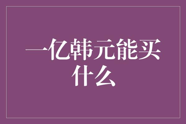 一亿韩元能买什么