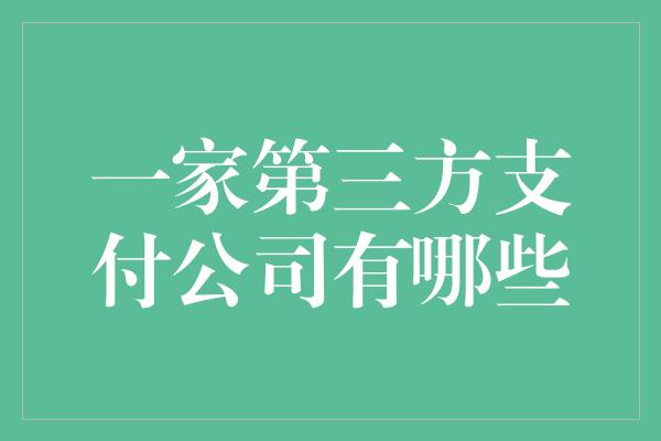 一家第三方支付公司有哪些