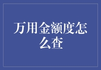 探索万用金额度查询的全流程与策略：如何准确获取您的金融信息