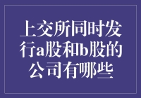 上交所同时发行A股和B股的公司有哪些？