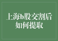 上海B股交割后如何提取：一场金融版的寻找丢失的钥匙