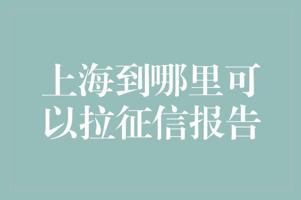 上海到哪里可以拉征信报告