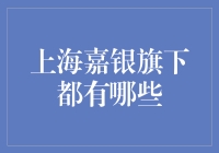 上海嘉银旗下业务布局全面解析：从互联网金融到财富管理