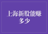 上海新股申购：穿越风雨，捕捉市场蓝海