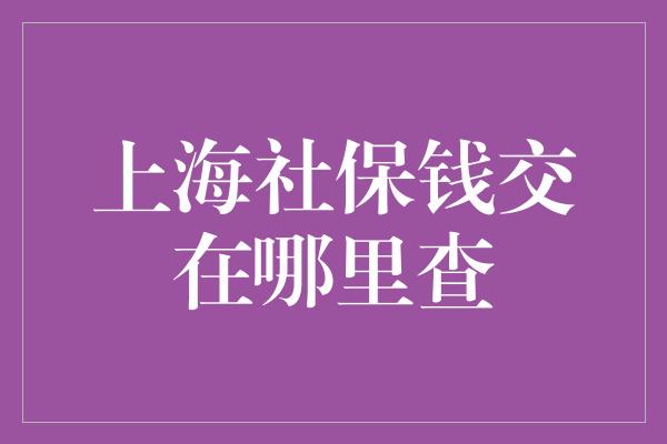 上海社保钱交在哪里查