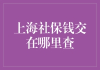 上海社保缴纳查询指南：轻松掌握你的社保信息