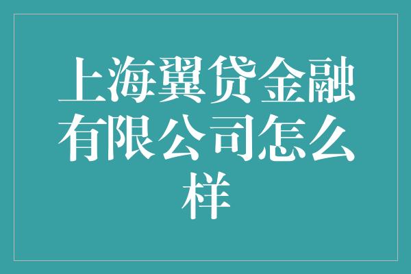 上海翼贷金融有限公司怎么样