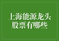 上海能源龙头股票深度解析：绿色转型下的机遇与挑战