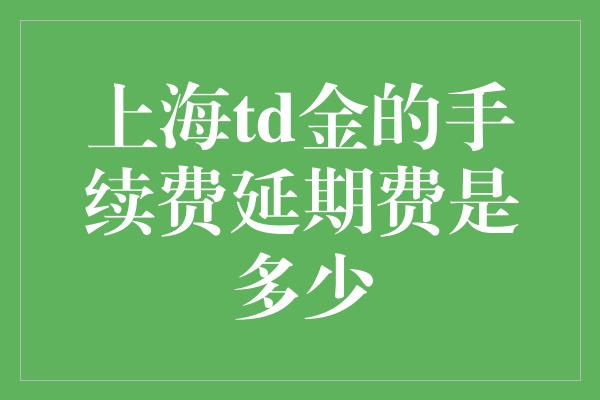 上海td金的手续费延期费是多少