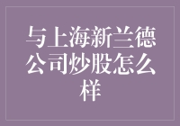 探究上海新兰德公司炒股的策略与实践：专业视角下的证券市场分析