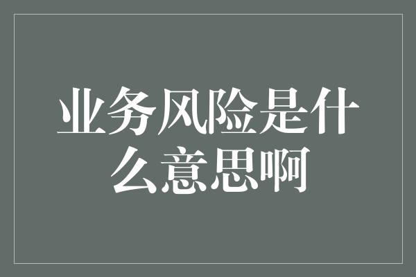 业务风险是什么意思啊