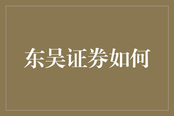 东吴证券如何