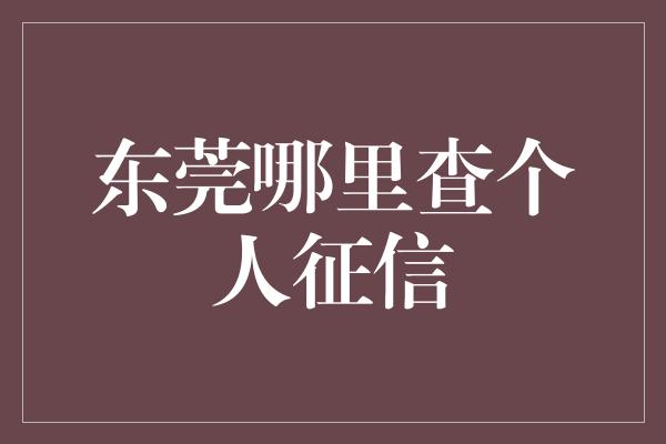 东莞哪里查个人征信