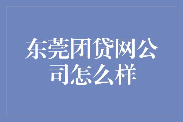 东莞团贷网公司怎么样