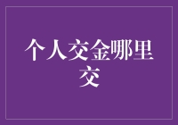 个人交金哪里交？一招教你搞定！