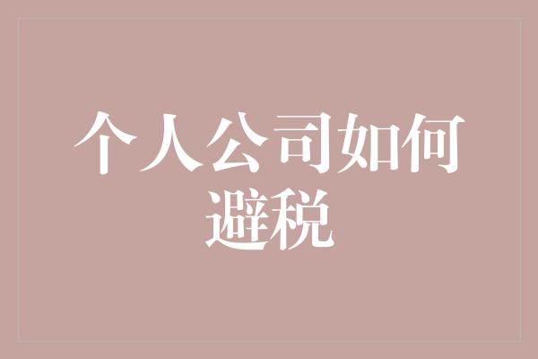 个人公司如何避税