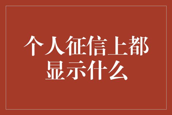 个人征信上都显示什么