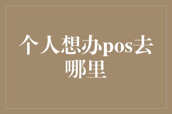 个人想办pos去哪里