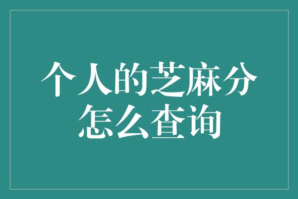 个人的芝麻分怎么查询