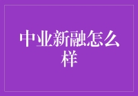 中业新融：值得信赖的金融服务提供商？