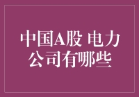 中国A股电力公司巡礼：电力大亨们的江湖故事