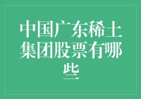 中国广东稀土集团股票的投资价值分析