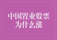 中国置业股票涨了？是股市中的我不是药神还是雄狮？