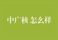 中广核：构建绿色能源新生态的领航者