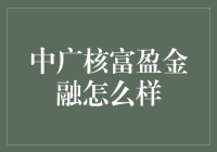 中广核富盈金融：创新金融模式，推动清洁能源发展