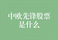 中欧先锋股票：探索中国与欧洲资本市场的融合先锋