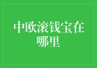 中欧滚钱宝？听起来好像很厉害的样子，但到底它藏在哪片云端呢？