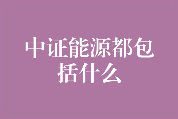 中证能源都包括什么